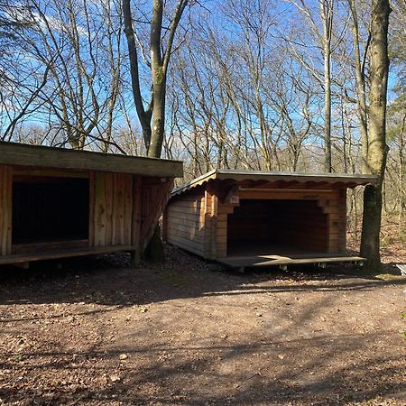 Krogager Primitiv Camping - Krogen Grindsted Buitenkant foto